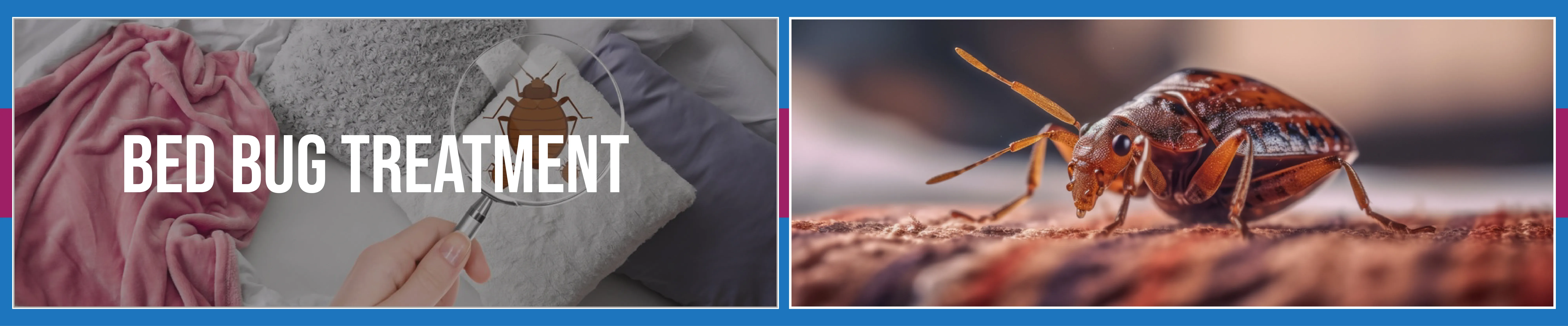 Area Rug Cleaning staten island City, Area Rug Cleaning si, Carpet Cleaning staten island City, Carpet Cleaning si, si carpet cleaning, si carpet cleaners, staten island carpet cleaning, staten island carpet cleaners, staten island carpet cleaning services, rug cleaning, rug cleaners, si rug cleaning, si rug cleaners, rug cleaning in si, rug cleaners in si, commercial carpet cleaning, commercial carpet cleaning in si, si commercial carpet cleaning, upholstery cleaning, upholstery cleaning si, upholstery cleaners in si, si upholstery cleaning, si upholstery cleaners, bed bug treatment, bed bug treatment si, si bed bug treatment, stain removal, stain removal si, si stain removal