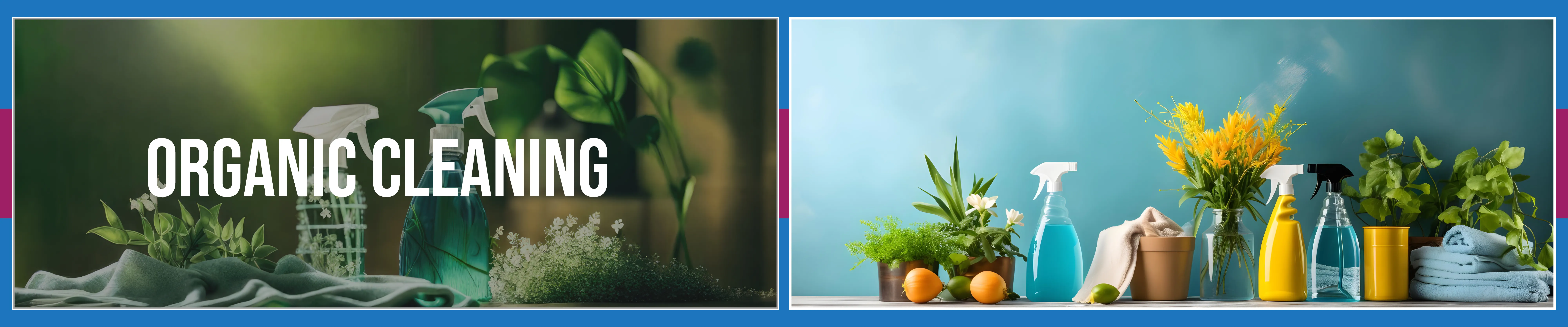 Area Rug Cleaning staten island City, Area Rug Cleaning si, Carpet Cleaning staten island City, Carpet Cleaning si, si carpet cleaning, si carpet cleaners, staten island carpet cleaning, staten island carpet cleaners, staten island carpet cleaning services, rug cleaning, rug cleaners, si rug cleaning, si rug cleaners, rug cleaning in si, rug cleaners in si, commercial carpet cleaning, commercial carpet cleaning in si, si commercial carpet cleaning, upholstery cleaning, upholstery cleaning si, upholstery cleaners in si, si upholstery cleaning, si upholstery cleaners, bed bug treatment, bed bug treatment si, si bed bug treatment, stain removal, stain removal si, si stain removal