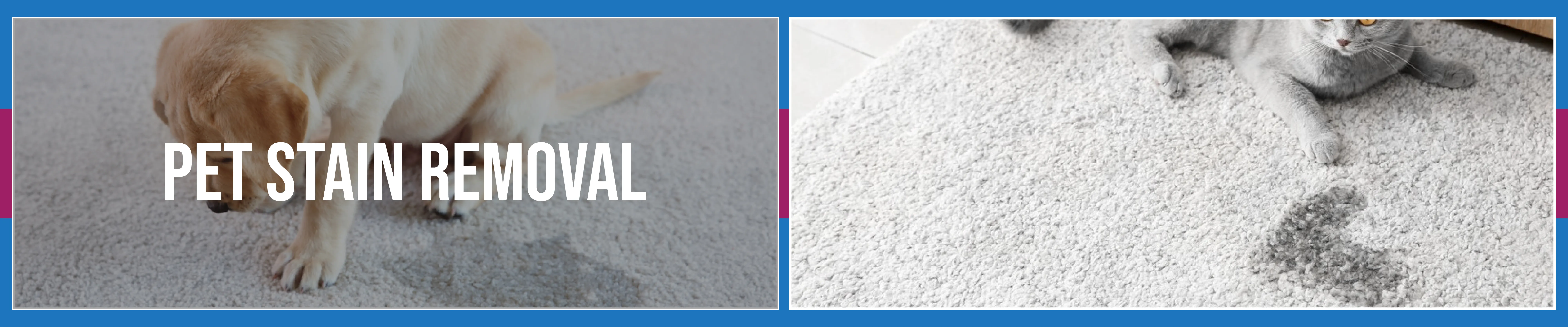 Area Rug Cleaning staten island City, Area Rug Cleaning si, Carpet Cleaning staten island City, Carpet Cleaning si, si carpet cleaning, si carpet cleaners, staten island carpet cleaning, staten island carpet cleaners, staten island carpet cleaning services, rug cleaning, rug cleaners, si rug cleaning, si rug cleaners, rug cleaning in si, rug cleaners in si, commercial carpet cleaning, commercial carpet cleaning in si, si commercial carpet cleaning, upholstery cleaning, upholstery cleaning si, upholstery cleaners in si, si upholstery cleaning, si upholstery cleaners, bed bug treatment, bed bug treatment si, si bed bug treatment, stain removal, stain removal si, si stain removal