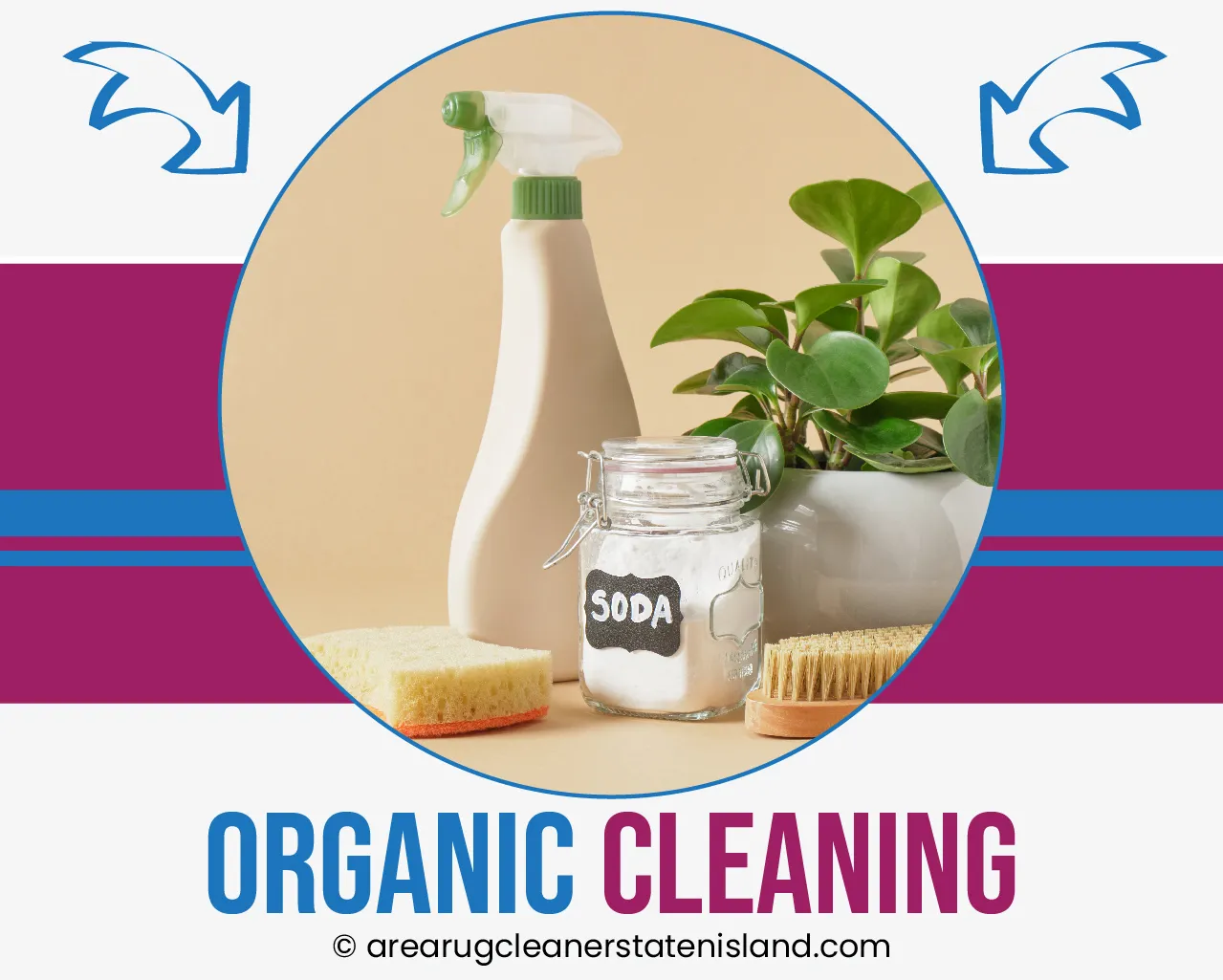 Area Rug Cleaning staten island City, Area Rug Cleaning si, Carpet Cleaning staten island City, Carpet Cleaning si, si carpet cleaning, si carpet cleaners, staten island carpet cleaning, staten island carpet cleaners, staten island carpet cleaning services, rug cleaning, rug cleaners, si rug cleaning, si rug cleaners, rug cleaning in si, rug cleaners in si, commercial carpet cleaning, commercial carpet cleaning in si, si commercial carpet cleaning, upholstery cleaning, upholstery cleaning si, upholstery cleaners in si, si upholstery cleaning, si upholstery cleaners, bed bug treatment, bed bug treatment si, si bed bug treatment, stain removal, stain removal si, si stain removal